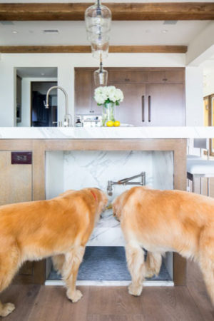 Two golden retrievers drinking from a custom doggy sink.