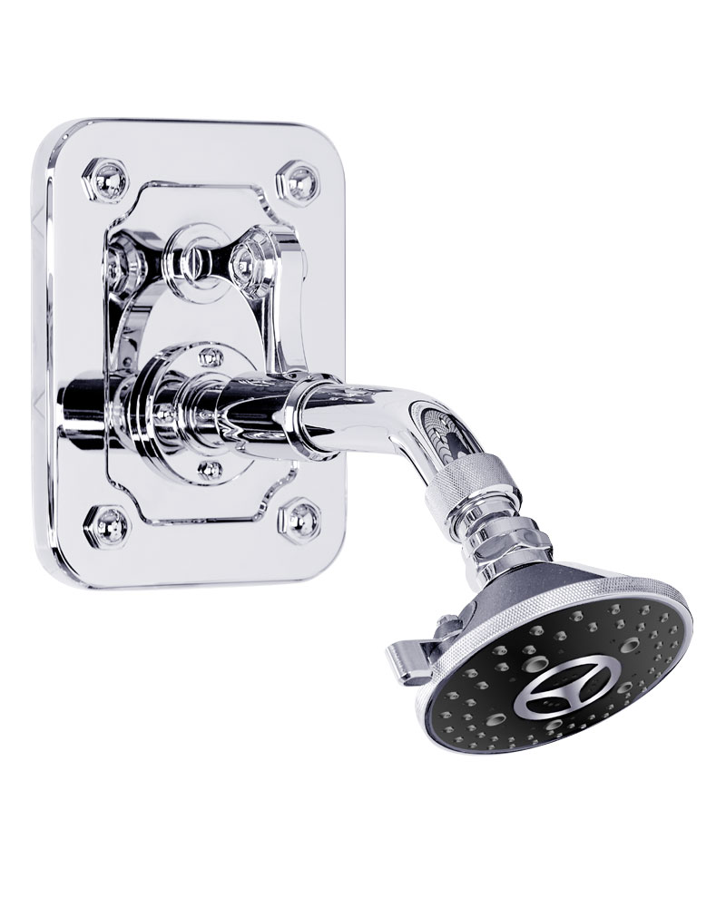 Waterstone Argonaut Shower Head